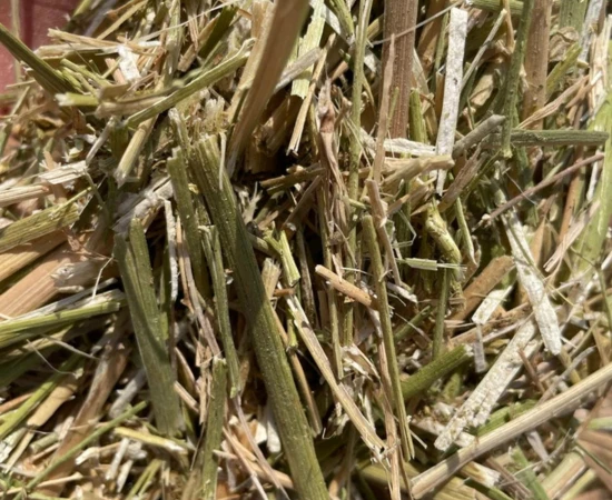 Mustard Husk Pellet Production