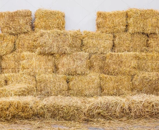 Mustard Husk Pellet Production