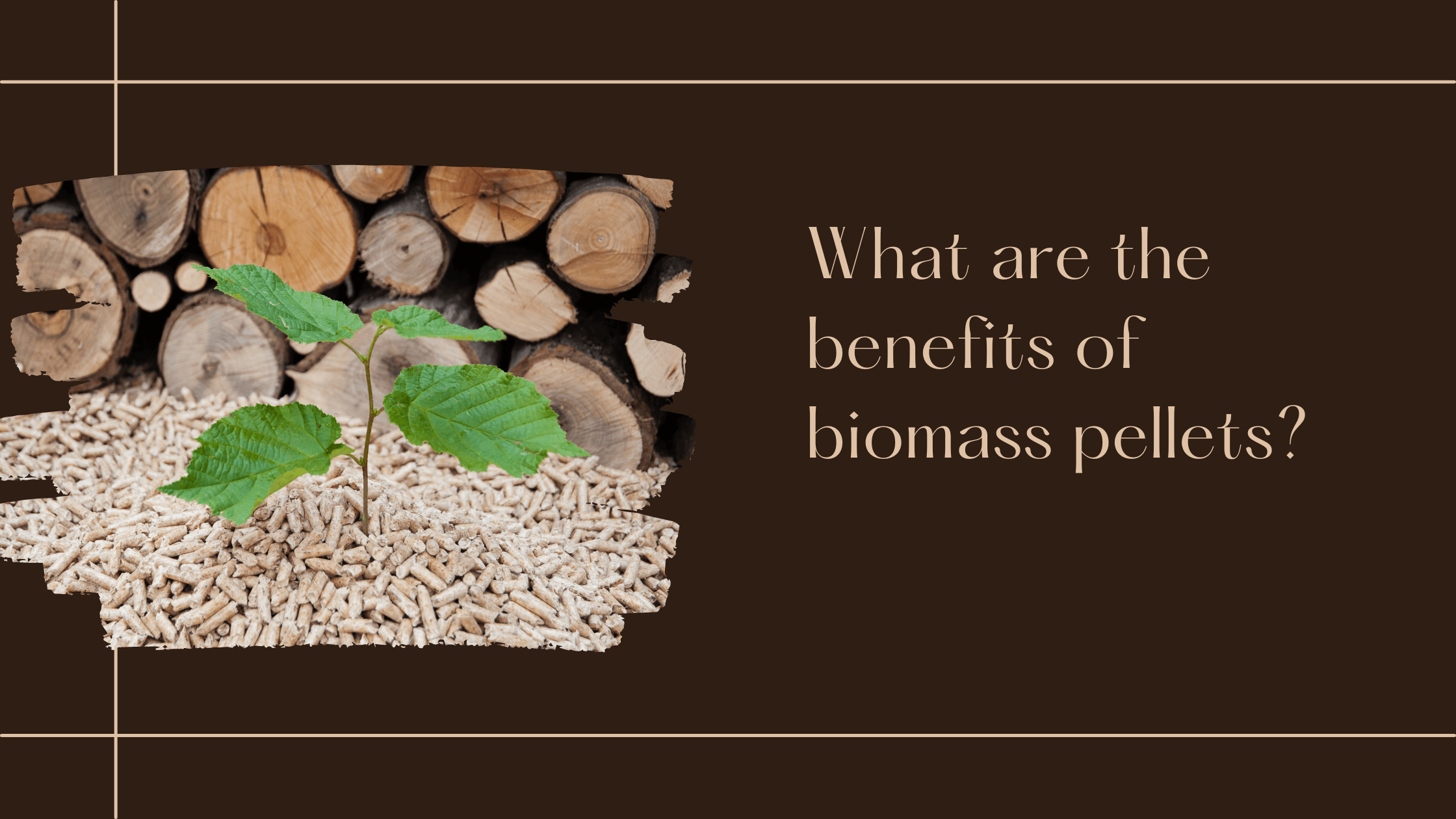 What are the Benefits of Biomass Pellets?