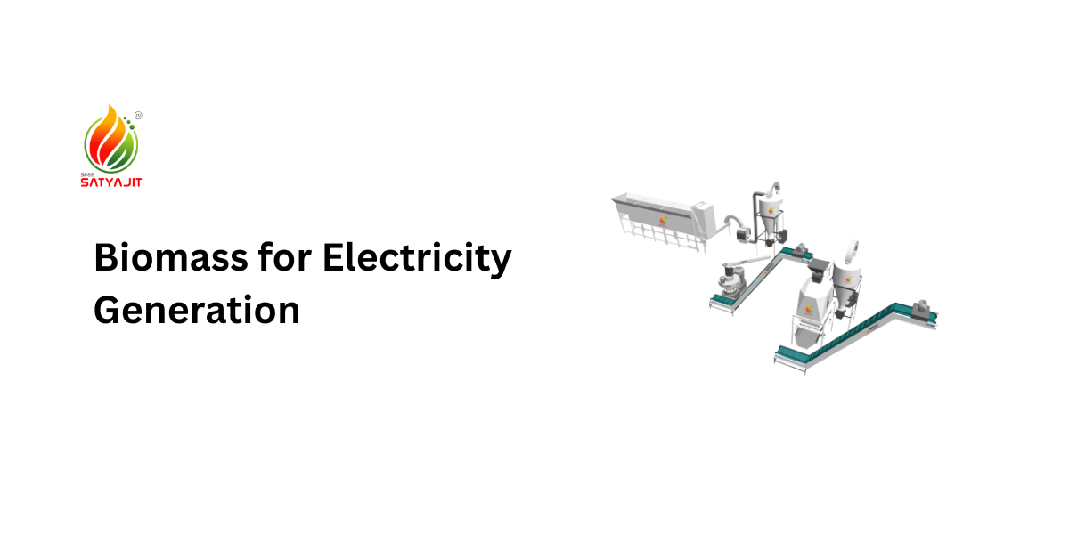 Biomass for Electricity Generation