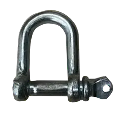 D shackle ( SS )